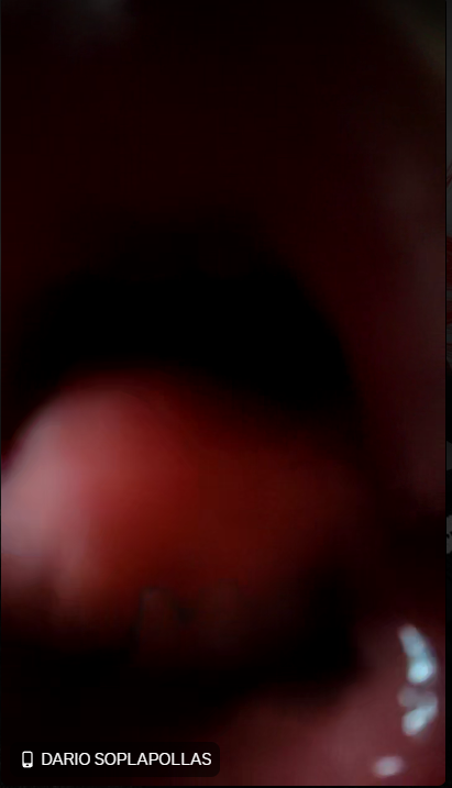 Captura de pantalla 2025-08-04 203807.png